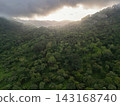 Forest landscape with trees and mountains at sunset 143168740