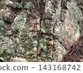 Old stone covered with moss background 143168742