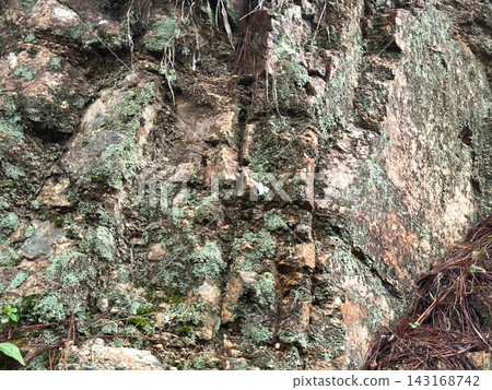 Old stone covered with moss background Old stone covered with moss background 143168742