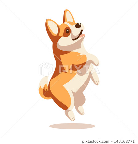 Cute corgi dog jumping on white background. Pet Illustration. Cute corgi dog jumping on white background. Pet Illustration. 143168771