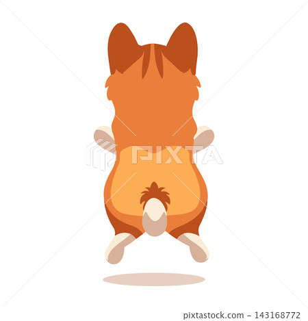 Cute Corgi Dog Rear View. Puppy Jumping. Illustration. 143168772
