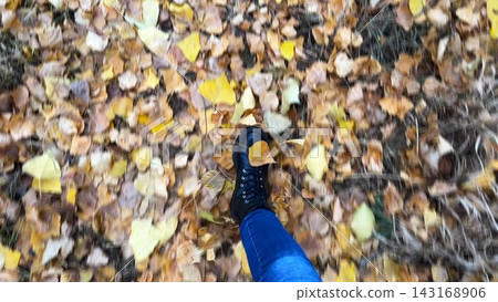 POV of female feet in boots going on fallen leaves at forest. Legs of young woman stepping on yellow foliage at autumn park. Girl walking along trail at wild nature. Slow mo POV of female feet in boots going on fallen leaves at forest. Legs of young woman stepping on yellow foliage at autumn park. Girl walking along trail at wild nature. Slow mo 143168906