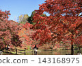 Autumn leaves at Yosaku Park in Oita Prefecture 143168975