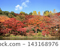 Autumn Colors in the Park 143168976
