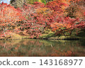 Autumn leaves at Yosaku Park are at their peak. 143168977