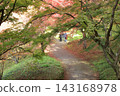 Autumn walking path 143168978
