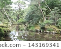 A small pond in the forest 143169341