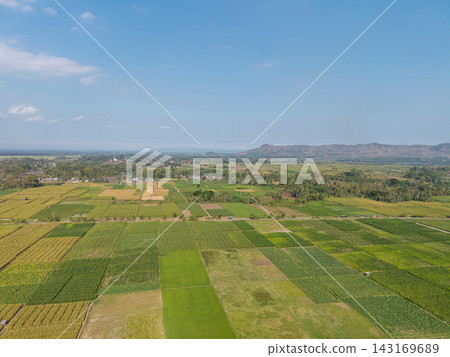 Aerial View of Lush Green Fields and Agricultural Land with Mountains Aerial View of Lush Green Fields and Agricultural Land with Mountains 143169689