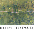 Aerial view of lush farmland at golden hour 143170013