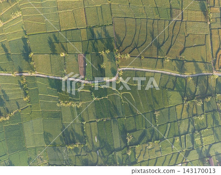 Aerial view of lush farmland at golden hour Aerial view of lush farmland at golden hour 143170013