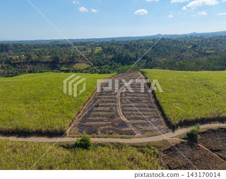 Aerial View of Agricultural Terraces and Coconut Groves in Ngajum Aerial View of Agricultural Terraces and Coconut Groves in Ngajum 143170014