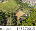 Striking brown earth patch adds 143170015