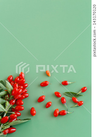 Natural goji berry branches arranged on pastel green background Natural goji berry branches arranged on pastel green background 143170120