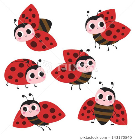 Adorable ladybug character set showcasing cute red beetles with pink cheeks in various flying and sitting poses isolated on white background. Adorable ladybug character set showcasing cute red beetles with pink cheeks in various flying and sitting poses isolated on white background. 143170840