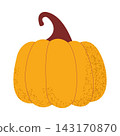 Bright orange autumn pumpkin isolated on white background. Vector illustration of textured fall gourd for Thanksgiving, Halloween, or harvest decor 143170870