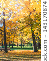 Bright colorful autumn landscape 143170874