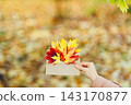 Envelope with a letter made of autumn leaves 143170877