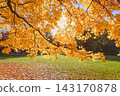 Bright colorful autumn landscape 143170878