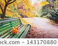 Bench in an autumn park 143170880