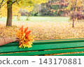 Bench in an autumn park 143170881
