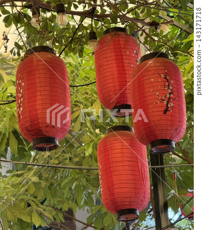 Red Chinese Lanterns Hanging on Tree 143171718