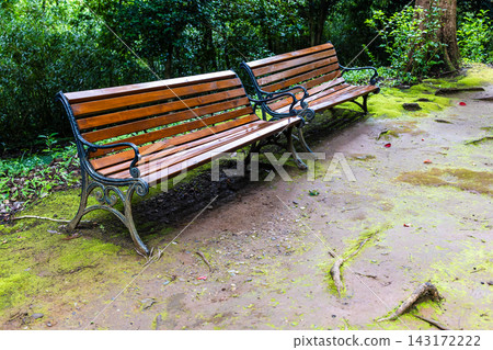 wet wooden benches in Batumi Botanical Garden wet wooden benches in Batumi Botanical Garden 143172222