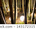 night lights in bamboo grove on boulevard, Batumi 143172315