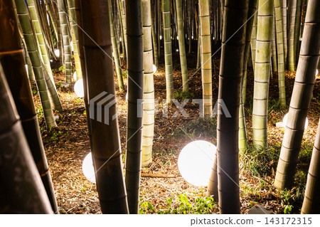 night lights in bamboo grove on boulevard, Batumi 143172315