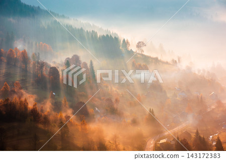 trees on meadow between hillsides with conifer forest in fog at sunrise. light beam through glowing misty atmosphere in the valley. autumn in Transcarpathia trees on meadow between hillsides with conifer forest in fog at sunrise. light beam through glowing misty atmosphere in the valley. autumn in Transcarpathia 143172383