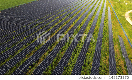 Solar energy farm with photovoltaic panels generating clean renewable power, rows of modules in green field aerial view Solar energy farm with photovoltaic panels generating clean renewable power, rows of modules in green field aerial view 143173370