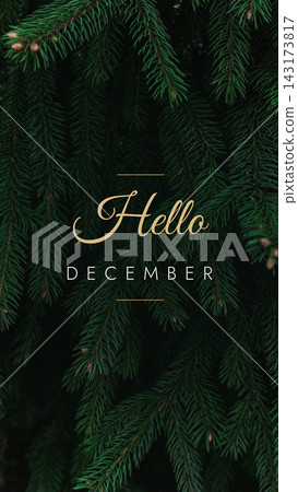 Hello December spruce branches - moody christmas social media header Hello December spruce branches - moody christmas social media header 143173817