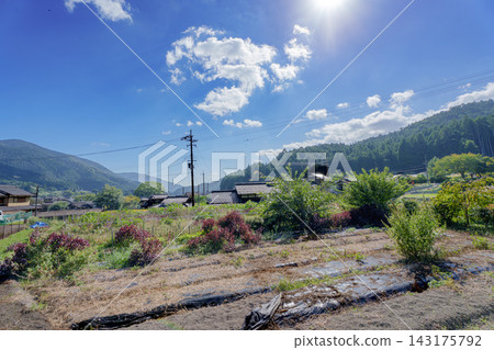 Title: A peaceful Japanese rural landscape and houses surrounded by blue skies and deep green mountains. Title: A peaceful Japanese rural landscape and houses surrounded by blue skies and deep green mountains. 143175792