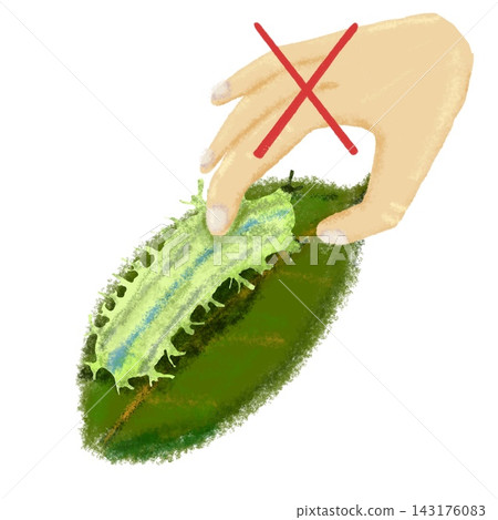 Do not touch the slug caterpillar. (Illustration of hand and leaf) Do not touch the slug caterpillar. (Illustration of hand and leaf) 143176083