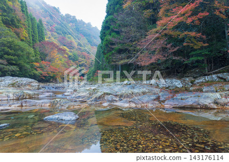 山谷中的秋葉(宮崎縣日之影町) 山谷中的秋葉(宮崎縣日之影町) 143176114