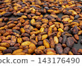 Close-up of roasted cocoa beans 143176490