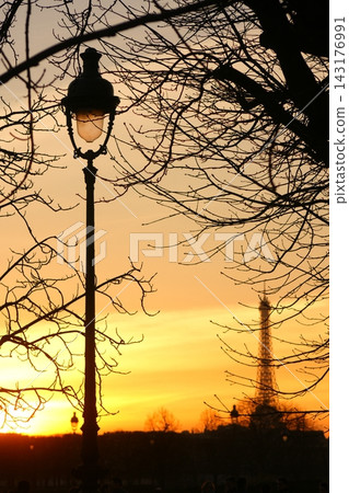 Sunset and silhouette of the Eiffel Tower viewed from the Tuileries Garden (Paris, February 22, 2019) Sunset and silhouette of the Eiffel Tower viewed from the Tuileries Garden (Paris, February 22, 2019) 143176991