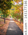 A path covered with many fallen leaves of autumn colors. 143177186