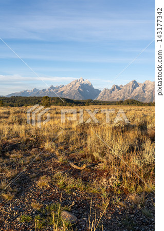 A stunning view of the Teton mountain range in Grand Teton National Park, WY. A stunning view of the Teton mountain range in Grand Teton National Park, WY. 143177342