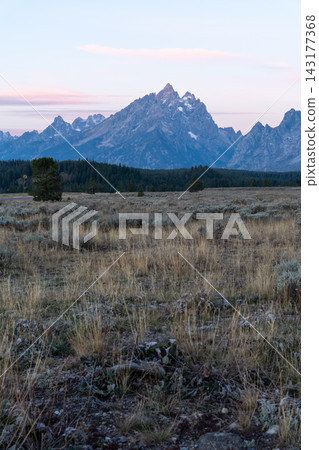 A stunning view of the Teton mountain range in Grand Teton National Park, WY. A stunning view of the Teton mountain range in Grand Teton National Park, WY. 143177368