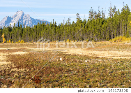 A stunning view of the Teton mountain range in Grand Teton National Park, WY. A stunning view of the Teton mountain range in Grand Teton National Park, WY. 143178208