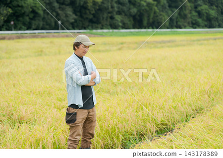 一位農民站在稻田前 143178389