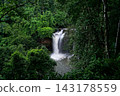 waterfall in green forest 143178559