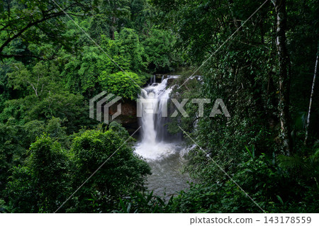 waterfall in green forest waterfall in green forest 143178559