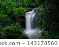 waterfall in green forest 143178560
