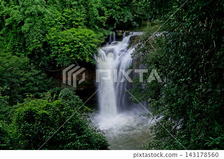 waterfall in green forest 143178560