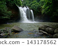 waterfall in green forest 143178562