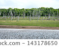 Notsuke Peninsula, Narawara Landscape 143178650