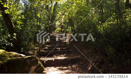 Ancient Stone Steps along the Via Crucis Trail in the Bussaco Forest Portugal 143178814