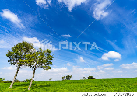 夏天的藍天、白雲和草地 夏天的藍天、白雲和草地 143178939
