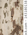 Closeup cracked skin of trunk 143180138